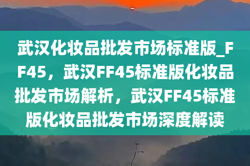 武汉化妆品批发市场标准版_FF45，武汉FF45标准版化妆品批发市场解析，武汉FF45标准版化妆品批发市场深度解读