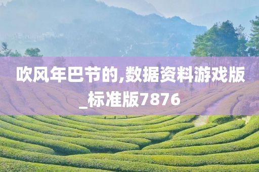 吹风年巴节的,数据资料游戏版_标准版7876