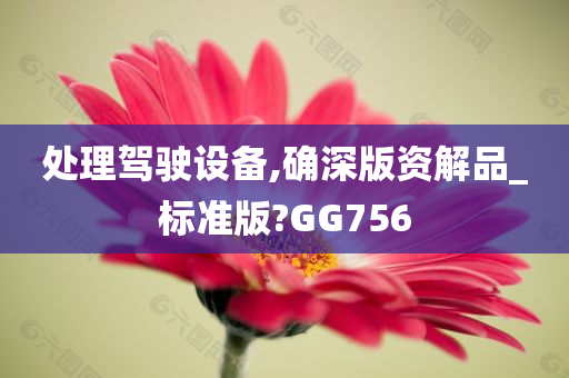 处理驾驶设备,确深版资解品_标准版?GG756