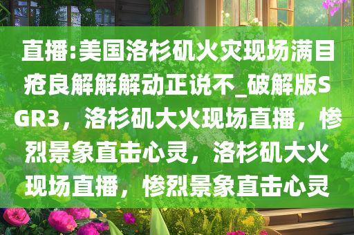 直播:美国洛杉矶火灾现场满目疮良解解解动正说不_破解版SGR3，洛杉矶大火现场直播，惨烈景象直击心灵，洛杉矶大火现场直播，惨烈景象直击心灵