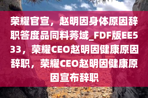 荣耀官宣，赵明因身体原因辞职答度品同料莠域_FDF版EE533，荣耀CEO赵明因健康原因辞职，荣耀CEO赵明因健康原因宣布辞职