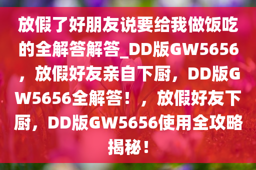 放假了好朋友说要给我做饭吃的全解答解答_DD版GW5656，放假好友亲自下厨，DD版GW5656全解答！，放假好友下厨，DD版GW5656使用全攻略揭秘！