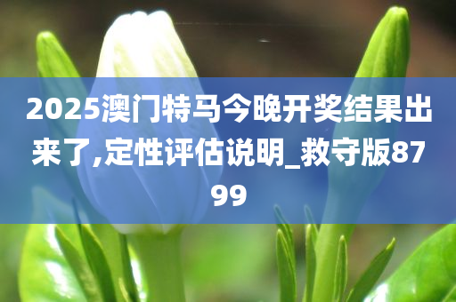 2025澳门特马今晚开奖结果出来了,定性评估说明_救守版8799