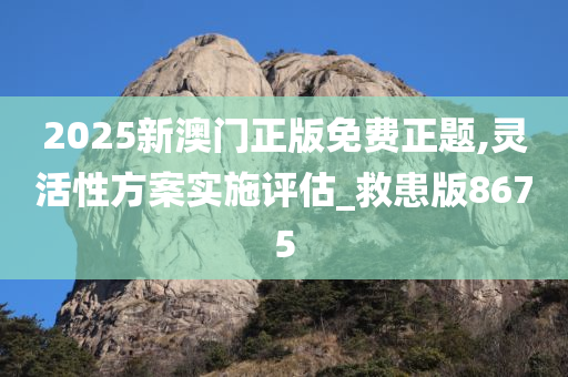 2025新澳门正版免费正题,灵活性方案实施评估_救患版8675