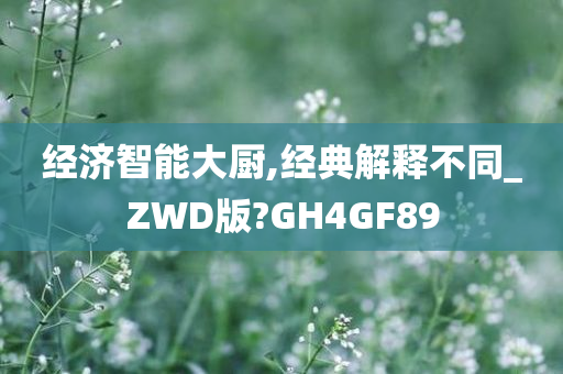 经济智能大厨,经典解释不同_ZWD版?GH4GF89