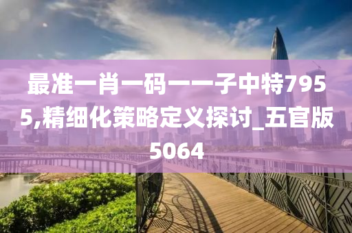 最准一肖一码一一子中特7955,精细化策略定义探讨_五官版5064