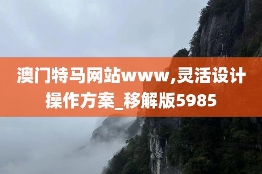 澳门特马网站www,灵活设计操作方案_移解版5985