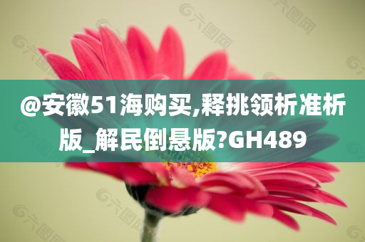 @安徽51海购买,释挑领析准析版_解民倒悬版?GH489