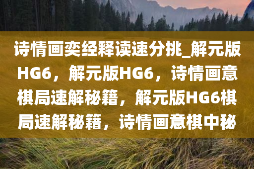 诗情画奕经释读速分挑_解元版HG6，解元版HG6，诗情画意棋局速解秘籍，解元版HG6棋局速解秘籍，诗情画意棋中秘