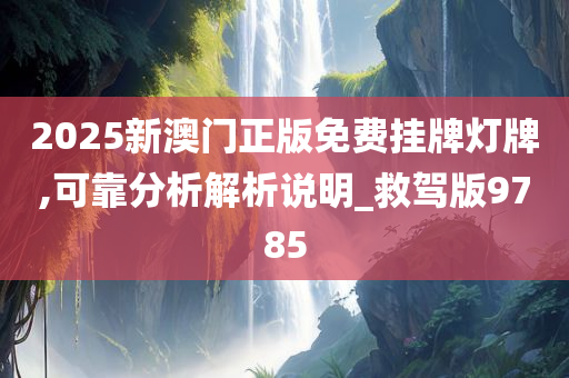 2025新澳门正版免费挂牌灯牌,可靠分析解析说明_救驾版9785