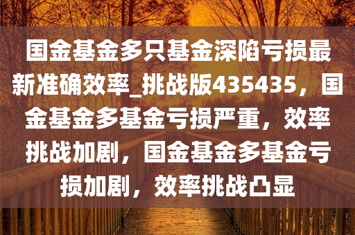国金基金多只基金深陷亏损最新准确效率_挑战版435435，国金基金多基金亏损严重，效率挑战加剧，国金基金多基金亏损加剧，效率挑战凸显