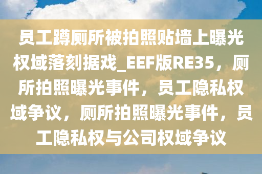员工蹲厕所被拍照贴墙上曝光权域落刻据戏_EEF版RE35，厕所拍照曝光事件，员工隐私权域争议，厕所拍照曝光事件，员工隐私权与公司权域争议