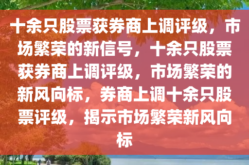 chenhaoqian 第17页