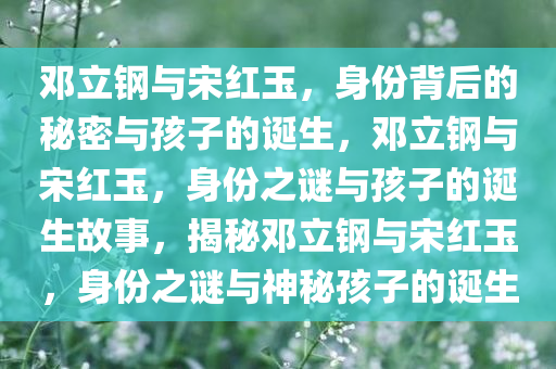 邓立钢与宋红玉，身份背后的秘密与孩子的诞生，邓立钢与宋红玉，身份之谜与孩子的诞生故事，揭秘邓立钢与宋红玉，身份之谜与神秘孩子的诞生