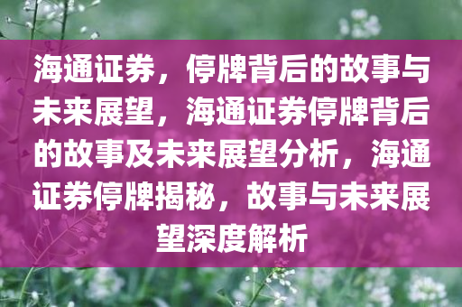 海通证券，停牌背后的故事与未来展望，海通证券停牌背后的故事及未来展望分析，海通证券停牌揭秘，故事与未来展望深度解析