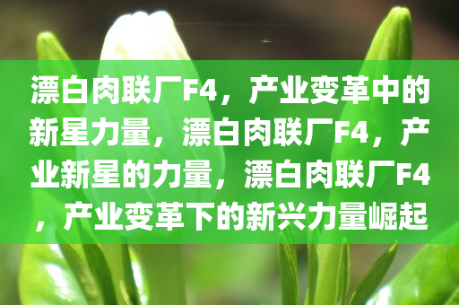 漂白肉联厂F4，产业变革中的新星力量，漂白肉联厂F4，产业新星的力量，漂白肉联厂F4，产业变革下的新兴力量崛起