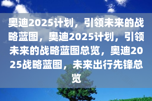奥迪2025计划，引领未来的战略蓝图，奥迪2025计划，引领未来的战略蓝图总览，奥迪2025战略蓝图，未来出行先锋总览
