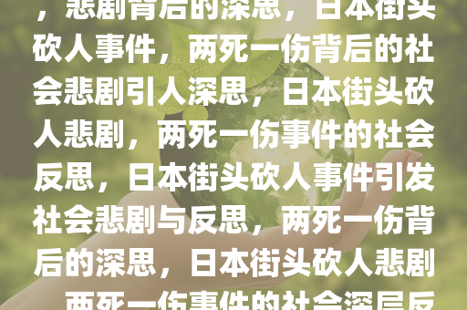日本街头砍人事件致两死一伤，悲剧背后的深思，日本街头砍人事件，两死一伤背后的社会悲剧引人深思，日本街头砍人悲剧，两死一伤事件的社会反思，日本街头砍人事件引发社会悲剧与反思，两死一伤背后的深思，日本街头砍人悲剧，两死一伤事件的社会深层反思