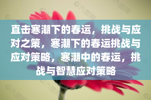 直击寒潮下的春运，挑战与应对之策，寒潮下的春运挑战与应对策略，寒潮中的春运，挑战与智慧应对策略