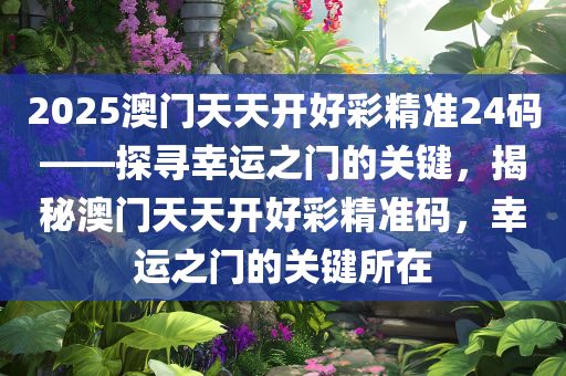 2025澳门天天开好彩精准24码——探寻幸运之门的关键，揭秘澳门天天开好彩精准码，幸运之门的关键所在
