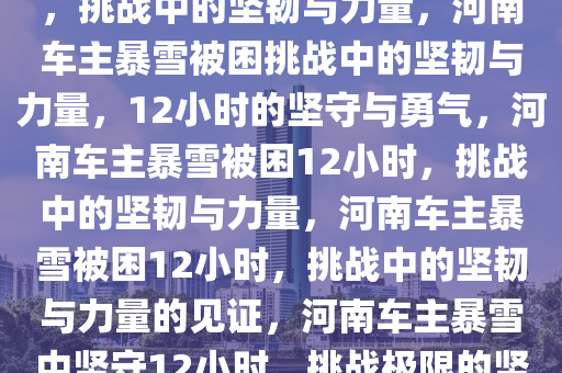 河南暴雪被困12小时车主发声，挑战中的坚韧与力量，河南车主暴雪被困挑战中的坚韧与力量，12小时的坚守与勇气，河南车主暴雪被困12小时，挑战中的坚韧与力量，河南车主暴雪被困12小时，挑战中的坚韧与力量的见证，河南车主暴雪中坚守12小时，挑战极限的坚韧与力量见证