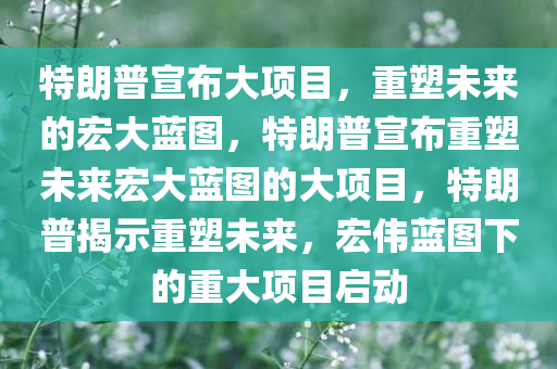 特朗普宣布大项目，重塑未来的宏大蓝图，特朗普宣布重塑未来宏大蓝图的大项目，特朗普揭示重塑未来，宏伟蓝图下的重大项目启动