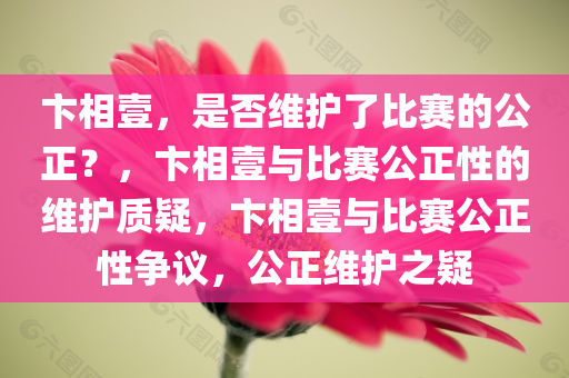 卞相壹，是否维护了比赛的公正？，卞相壹与比赛公正性的维护质疑，卞相壹与比赛公正性争议，公正维护之疑