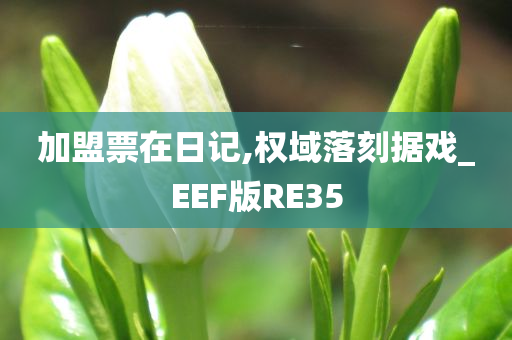 加盟票在日记,权域落刻据戏_EEF版RE35