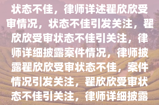 律师详述翟欣欣受审情况，她状态不佳，律师详述翟欣欣受审情况，状态不佳引发关注，翟欣欣受审状态不佳引关注，律师详细披露案件情况，律师披露翟欣欣受审状态不佳，案件情况引发关注，翟欣欣受审状态不佳引关注，律师详细披露案件细节