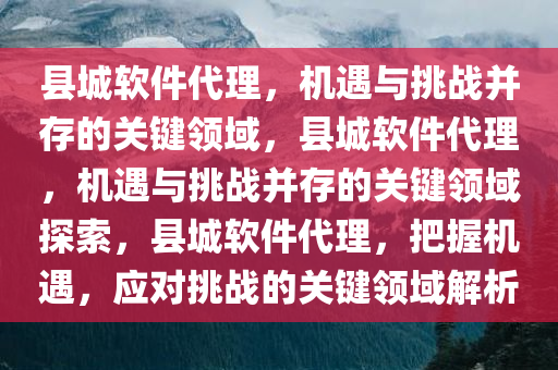 县城软件代理，机遇与挑战并存的关键领域，县城软件代理，机遇与挑战并存的关键领域探索，县城软件代理，把握机遇，应对挑战的关键领域解析