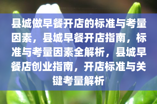 县城做早餐开店的标准与考量因素，县城早餐开店指南，标准与考量因素全解析，县城早餐店创业指南，开店标准与关键考量解析