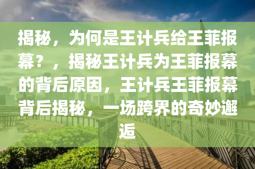 揭秘，为何是王计兵给王菲报幕？，揭秘王计兵为王菲报幕的背后原因，王计兵王菲报幕背后揭秘，一场跨界的奇妙邂逅
