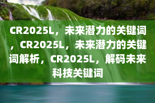 CR2025L，未来潜力的关键词，CR2025L，未来潜力的关键词解析，CR2025L，解码未来科技关键词