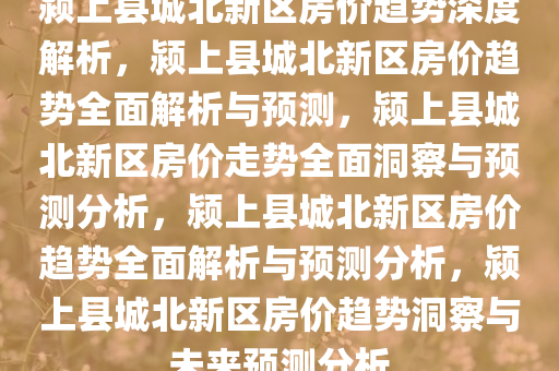 颍上县城北新区房价趋势深度解析，颍上县城北新区房价趋势全面解析与预测，颍上县城北新区房价走势全面洞察与预测分析，颍上县城北新区房价趋势全面解析与预测分析，颍上县城北新区房价趋势洞察与未来预测分析