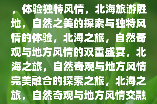 旅游胜地北海，探索自然之美，体验独特风情，北海旅游胜地，自然之美的探索与独特风情的体验，北海之旅，自然奇观与地方风情的双重盛宴，北海之旅，自然奇观与地方风情完美融合的探索之旅，北海之旅，自然奇观与地方风情交融的探险之旅