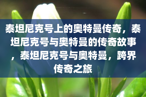 泰坦尼克号上的奥特曼传奇，泰坦尼克号与奥特曼的传奇故事，泰坦尼克号与奥特曼，跨界传奇之旅