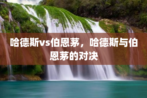 哈德斯vs伯恩茅