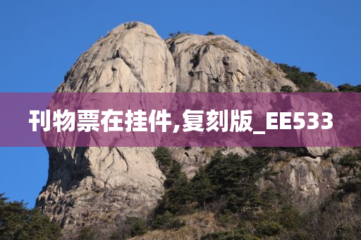 刊物票在挂件,复刻版_EE533