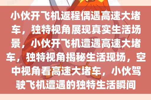 小伙开飞机返程偶遇高速大堵车，独特视角展现真实生活场景，小伙开飞机遭遇高速大堵车，独特视角揭秘生活现场，空中视角看高速大堵车，小伙驾驶飞机遭遇的独特生活瞬间