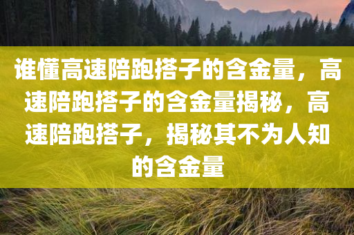 谁懂高速陪跑搭子的含金量，高速陪跑搭子的含金量揭秘，高速陪跑搭子，揭秘其不为人知的含金量