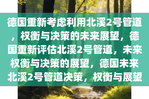 德国重新考虑利用北溪2号管道，权衡与决策的未来展望，德国重新评估北溪2号管道，未来权衡与决策的展望，德国未来北溪2号管道决策，权衡与展望