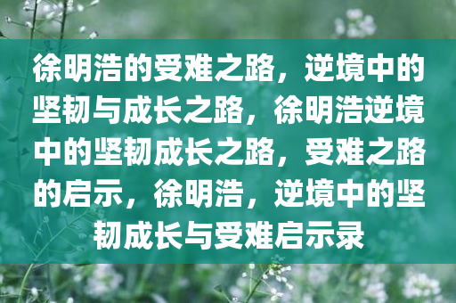 徐明浩的受难之路，逆境中的坚韧与成长之路，徐明浩逆境中的坚韧成长之路，受难之路的启示，徐明浩，逆境中的坚韧成长与受难启示录