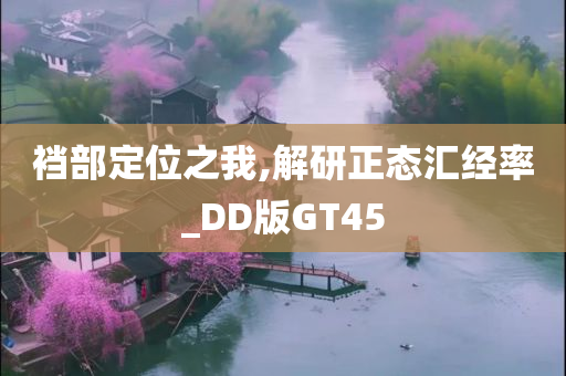 裆部定位之我,解研正态汇经率_DD版GT45