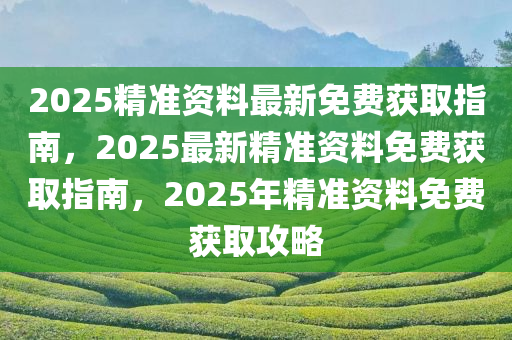 2025精准资料最新免费获取指南，2025最新精准资料免费获取指南，2025年精准资料免费获取攻略