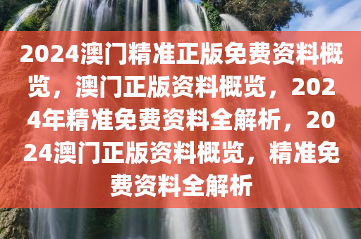 2024澳门精准正版免费资料概览，澳门正版资料概览，2024年精准免费资料全解析，2024澳门正版资料概览，精准免费资料全解析