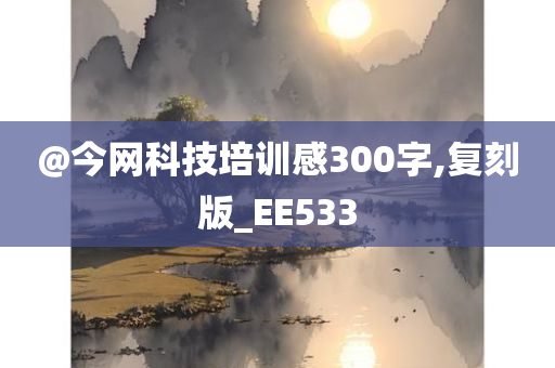 @今网科技培训感300字,复刻版_EE533