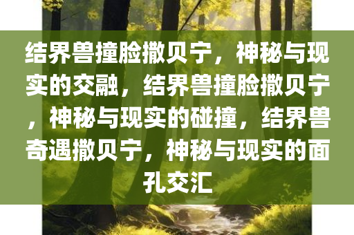 结界兽撞脸撒贝宁，神秘与现实的交融，结界兽撞脸撒贝宁，神秘与现实的碰撞，结界兽奇遇撒贝宁，神秘与现实的面孔交汇