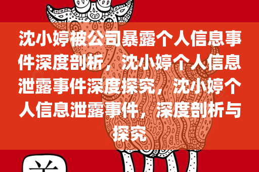 沈小婷被公司暴露个人信息事件深度剖析，沈小婷个人信息泄露事件深度探究，沈小婷个人信息泄露事件，深度剖析与探究