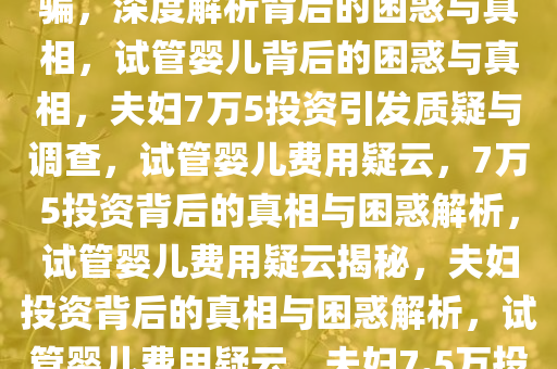 夫妇花7万5做试管婴儿怀疑被骗，深度解析背后的困惑与真相，试管婴儿背后的困惑与真相，夫妇7万5投资引发质疑与调查，试管婴儿费用疑云，7万5投资背后的真相与困惑解析，试管婴儿费用疑云揭秘，夫妇投资背后的真相与困惑解析，试管婴儿费用疑云，夫妇7.5万投资背后的真相与困惑解析