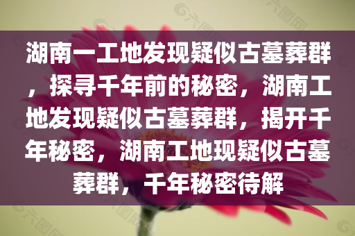 湖南一工地发现疑似古墓葬群，探寻千年前的秘密，湖南工地发现疑似古墓葬群，揭开千年秘密，湖南工地现疑似古墓葬群，千年秘密待解